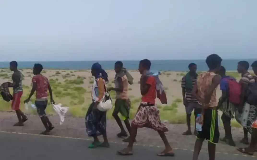 المنظمة الدولية للهجرة تعلن عن وصول أكثر من 97 ألف...