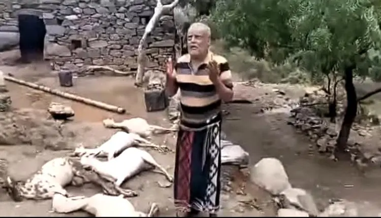 "لم يبقى لي شيء".. صاعقة تفني مصدر رزق مواطن في حج...
