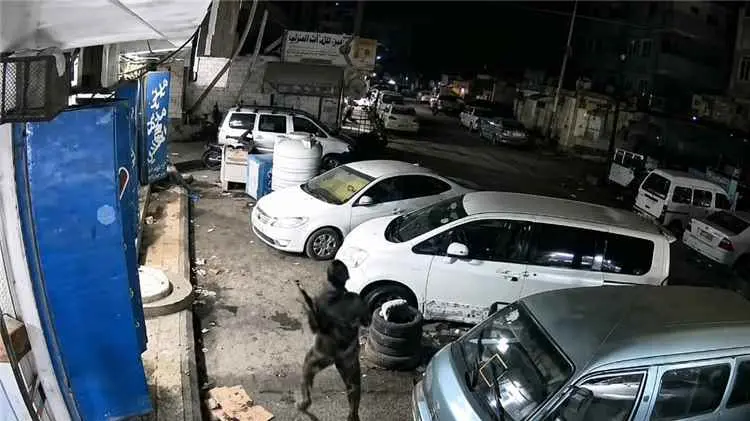 الأمن الوطني بعدن يوضح ملابسات إطلاق النار على أحد...