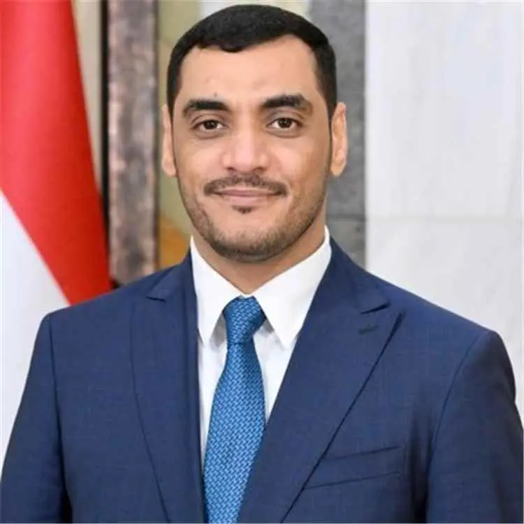 وزير الدولة: نهج الحكومة ثابت لتحقيق تسوية سلمية ت...