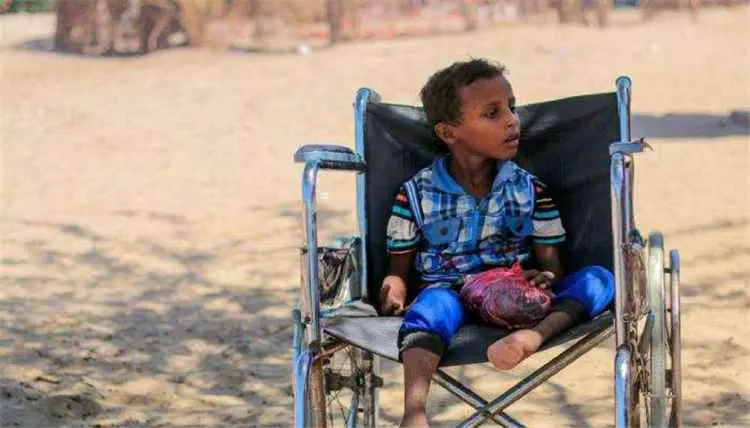 منظمة دولية تحذر من تصاعد ضحايا ألغام الحوثي بين أ...