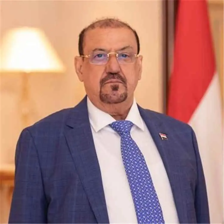البركاني: تهديدات الحوثي للسعودية لن تخيفها.. والي...