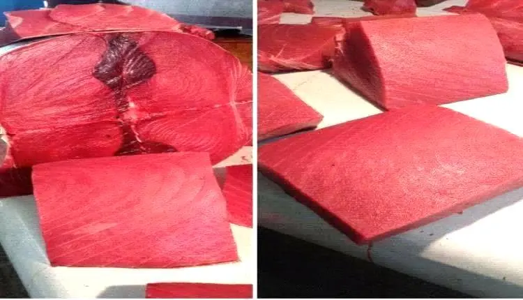ارتفاع جنوني في أسعار الأسماك بعدن اليوم الجمعة 17...