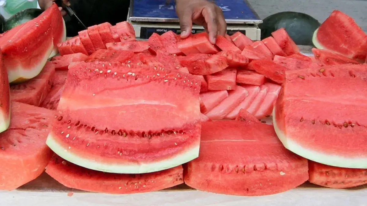 خبيرة روسية: البطيخ الأحمر "غذاء مخادع" ويحذر منه لمرضى السكر