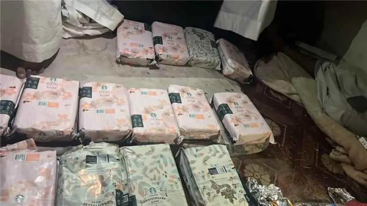 ضبط 25 كيلوغرامًا من مادة الشبو المخدرة في المهرة