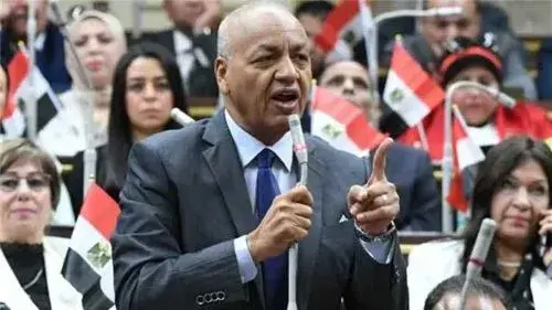 برلماني مصري يعلق على خطاب الرئيس العليمي