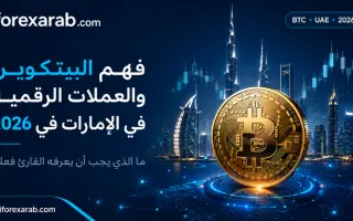 فهم البيتكوين والعملات الرقمية في الإمارات 2026: د...
