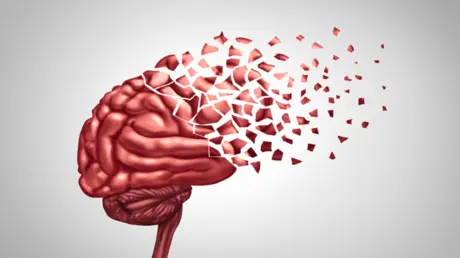 اكتشاف سلاح طبيعي في الدماغ قد يوقف ألزهايمر ويعكس...