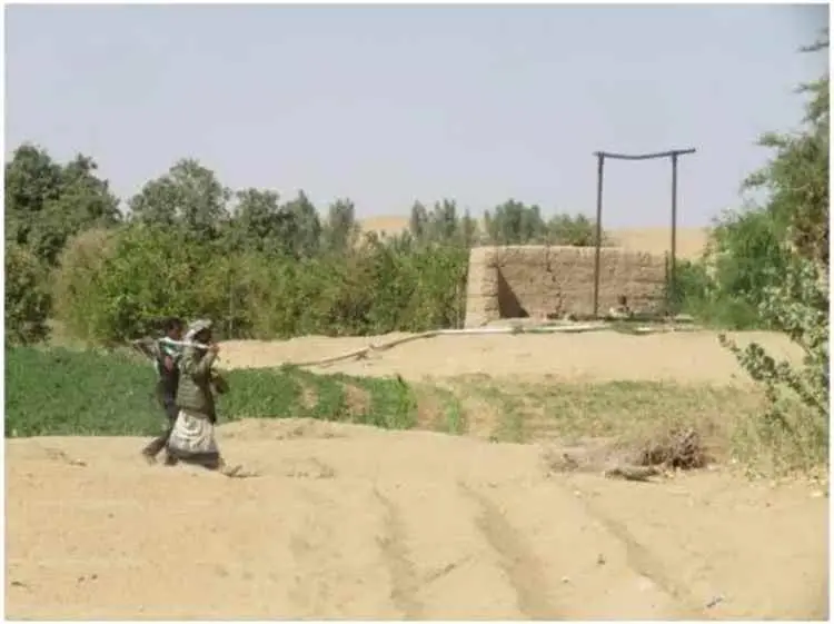 التصحر.. تحدٍّ جديد يواجه اقتصاد اليمن