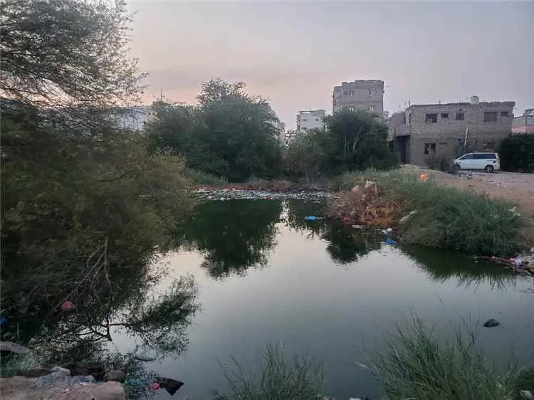 سكان أحد أحياء التقنية بالمنصورة يطالبون السلطات معالجة مشكلة طفح مياه الصرف الصحي