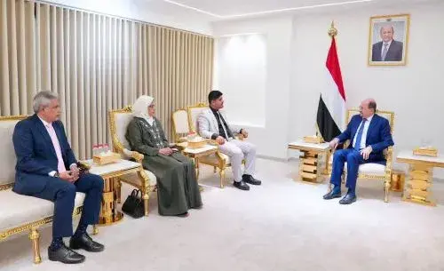 رئيس الوزراء وزير الخارجية وشؤون المغتربين يلتقي ر...