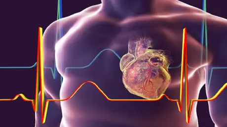 طبيب قلب يكشف الطريقة الوحيدة لإبطاء شيخوخة عضلة ا...