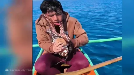شاهد.. فيديو متداول لمعركة شرسة وجها لوجه بين صياد...