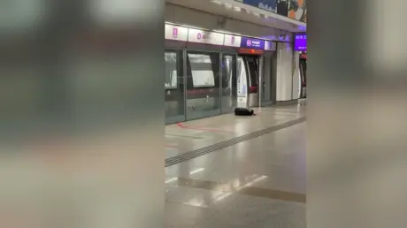 "صاروخ الجيب"..  توقف حركة القطارات في مترو سنغافو...