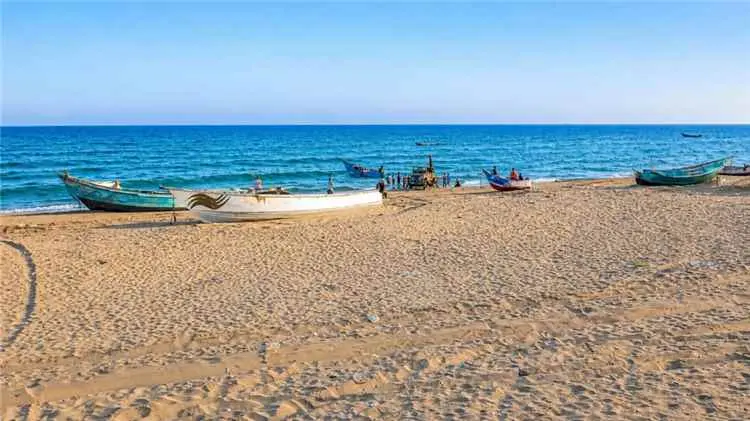 هيئة المصائد السمكية بأحور تكشف جملة من العراقيل وتطالب باستعادة ساحة الحراج وإنقاذ القطاع السمكي