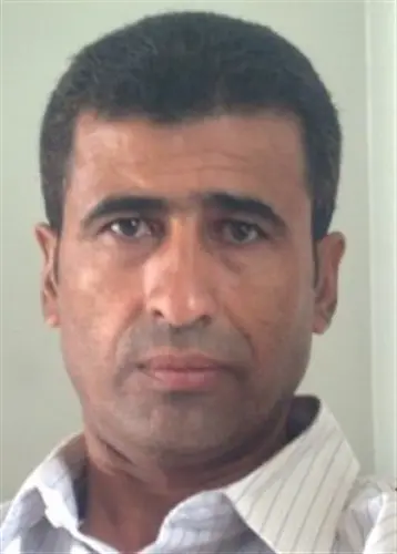 محمد علي محسن : توحدوا كفى شتاتًا وسخرية ! 
