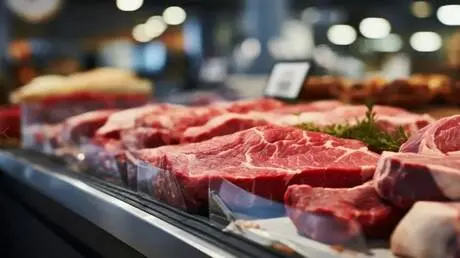 بدلا من التجميد العميق.. تقنية واعدة للحفاظ على جو...