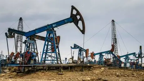 مصر.. ماذا يحدث في "البركة" بعد عامين من التوقف؟