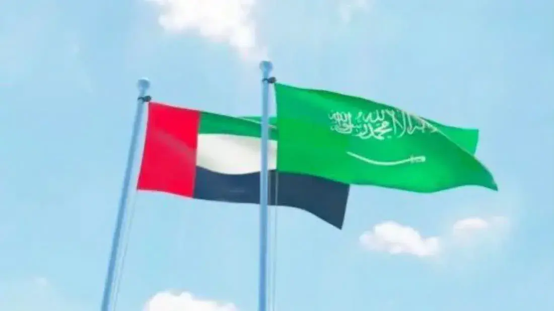 الإمارات تدين هجوم الحوثيين على نجران وتؤكد تضامنه...