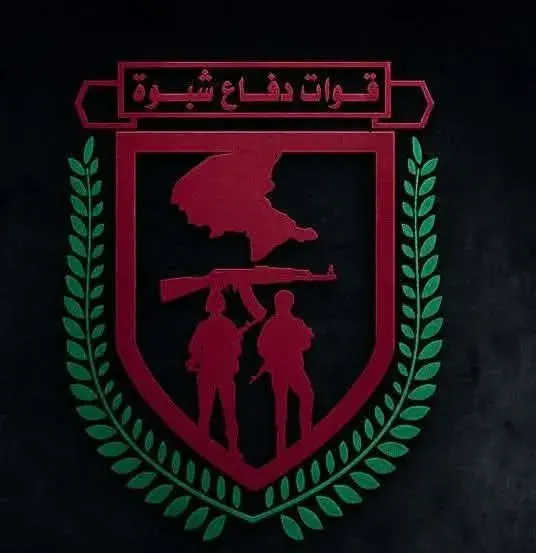 قوات دفاع شبوة تعلن تنفيذ عملية عسكرية ضد مواقع لل...