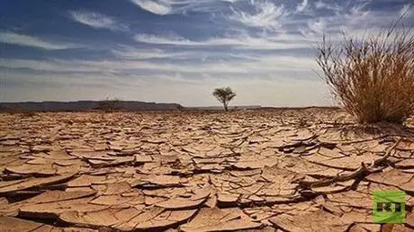 ليبيا تفقد 390 هكتارا من الغطاء الشجري خلال 25 عام...