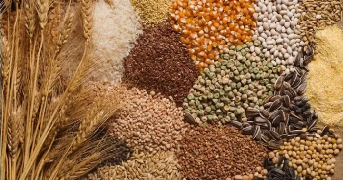 الفاو ترجح استمرار ارتفاع أسعار السلع الزراعية حتى ديسمبر