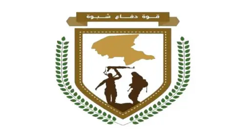 قوات دفاع شبوة تُحبط هجوماً بمسيرات حوثية في بيحان
