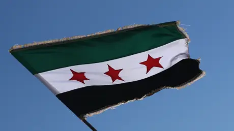 العفو الدولية تنتقد الحكم الصادر بحق الأسد وشقيقه...