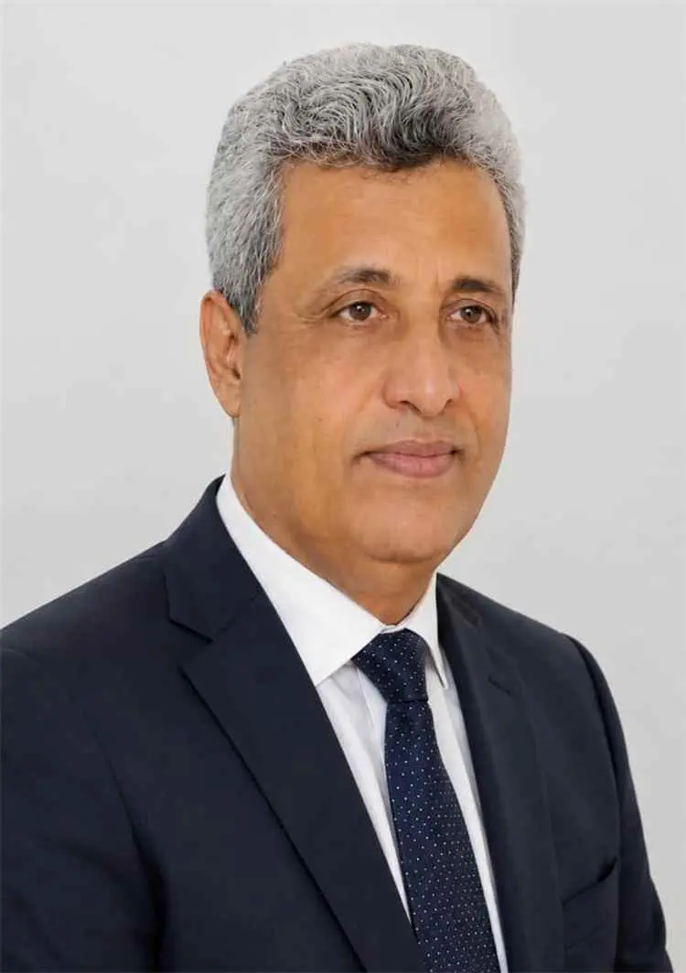 السخياني: الشرعية بتركيبتها الحالية عاجزة عن اتخاذ...