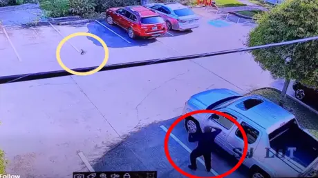 بالفيديو.. مواجهة طريفة بين شرطي أمريكي وطائر في ت...