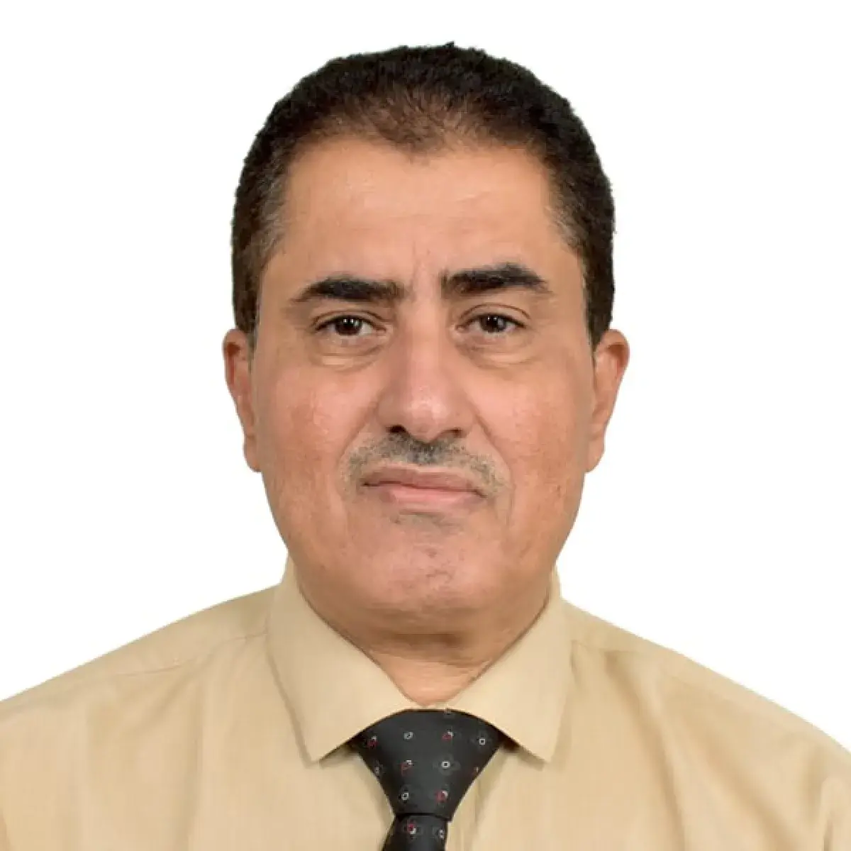 ماذا لو تحررت الحديدة؟ قراءة في المفاتيح الاستراتي...
