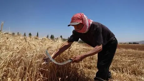 سوريا.. خسائر زراعية واسعة في القنيطرة بسبب عمليات...