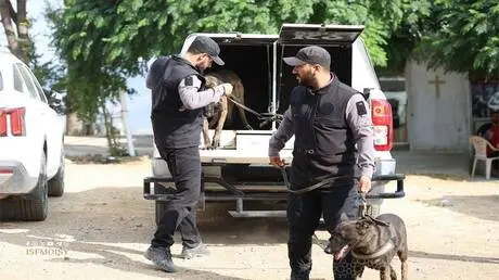 سوريا.. تفكيك خلية لـ "داعش" تجهز عبوات ناسفة على...