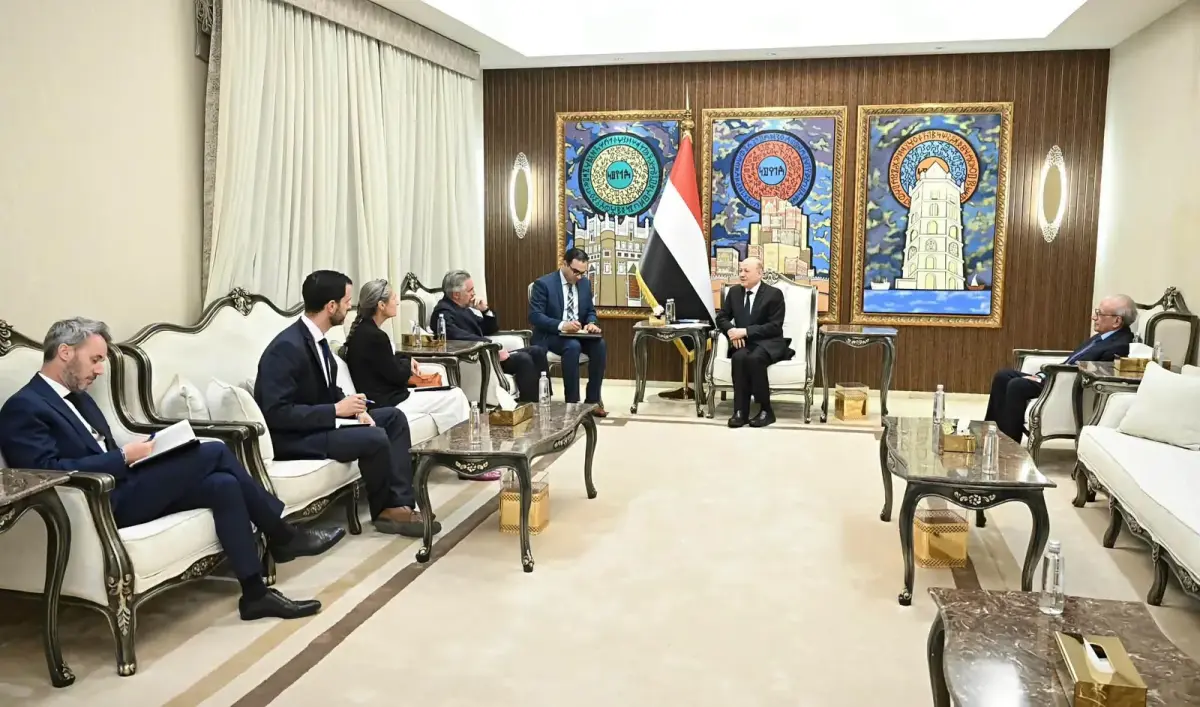 رئيس مجلس القيادة: دفاع اليمن عن باب المندب هو دفا...
