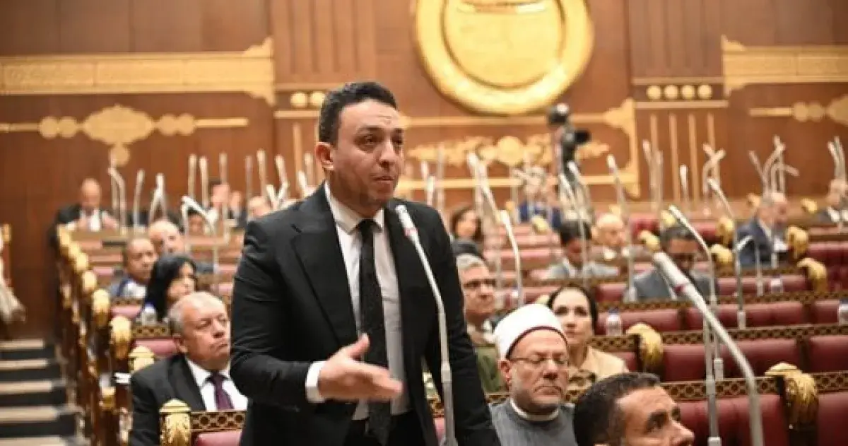 أبو زهرة: تنسيق مصر والسعودية ضروري لمواجهة تحديات...