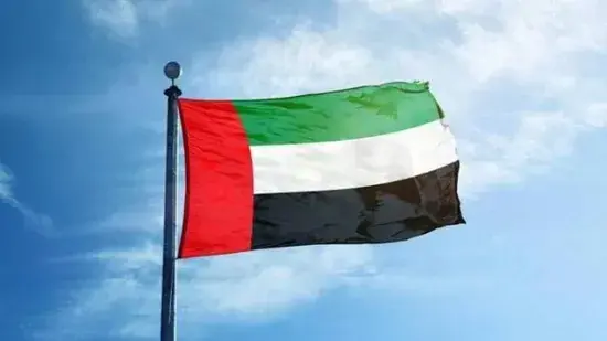 الإمارات تدين الهجمات الحوثية على الأراضي السعودية