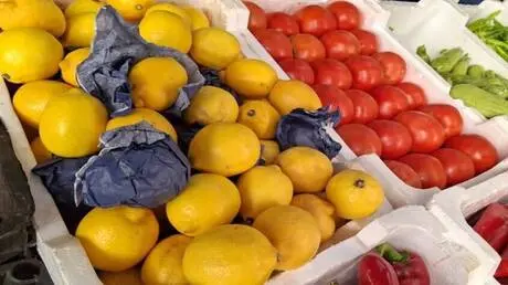 سوريا تصدر إلى الخليج ما يزيد عن 10 آلاف طن من الخ...