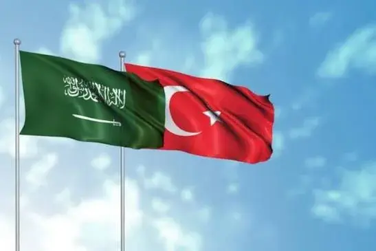 كاتب تركي يضع بلاده أمام مفارقة: الخارجية سمّت الح...