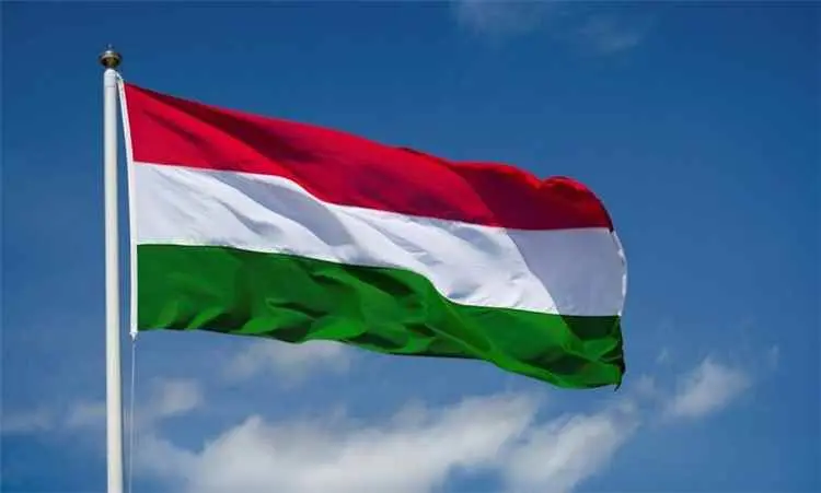 المجر: نؤكد وقوفنا إلى جانب الحكومة الشرعية ضد الا...