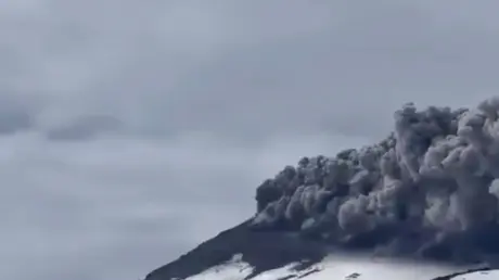 الرماد يتصاعد في سماء تشيلي.. بركان يثور قرب منتجع...