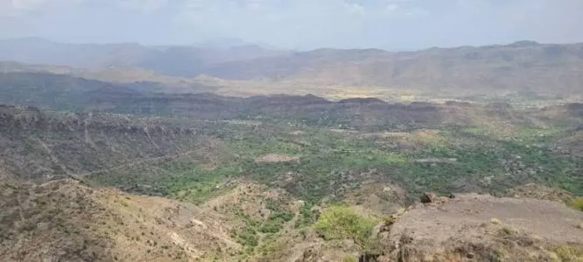 القوات الحكومية تحقق تقدمًا جديدًا جنوب غربي تعز و...