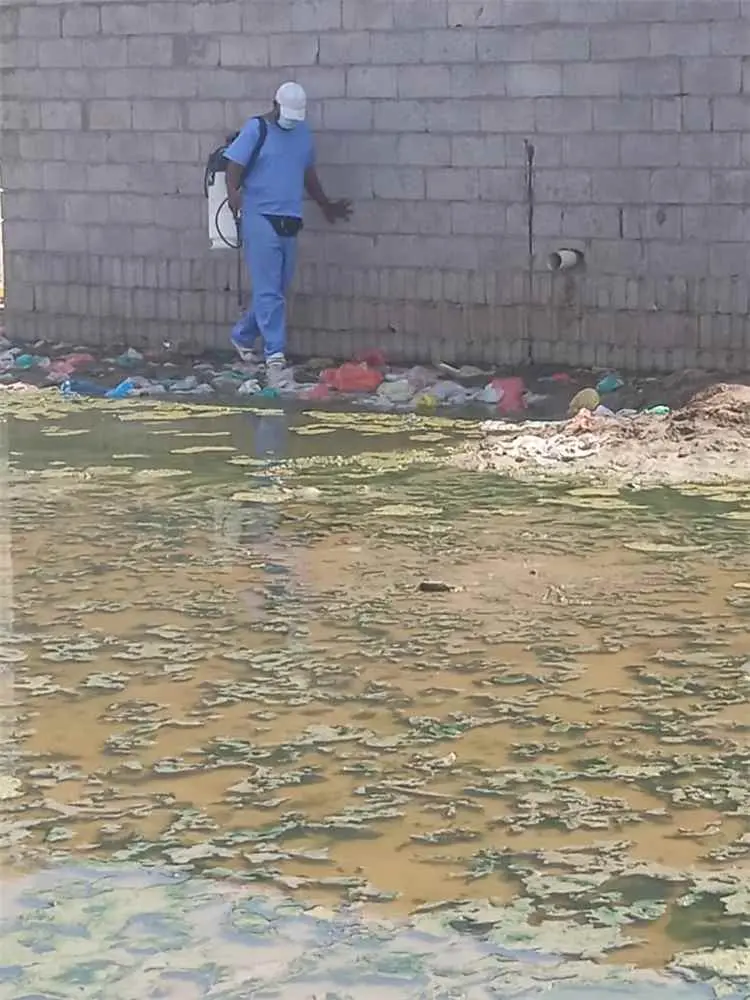 برنامج مكافحة الملاريا بصحة لحج ينفذ حملة رش استهد...