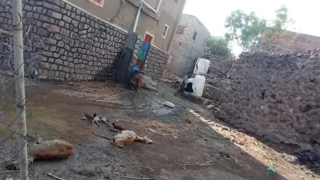 لحج.. السلطة المحلية تدين استهداف مليشيات الحوثي م...