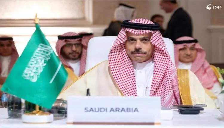 وزير الخارجية السعودي: الحفاظ على حل الدولتين يضمن...