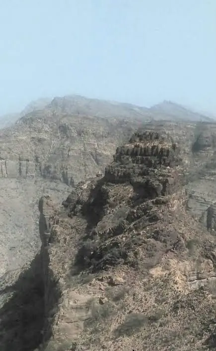 مصادر محلية: الحوثي يستعيد السيطرة على جبل نمان بع...