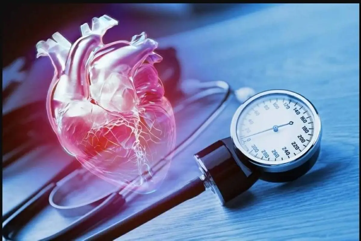 بروتين الخلايا المناعية يحد من ارتفاع ضغط الدم