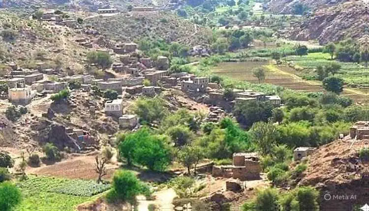 الحوثيون يواصلون استهداف الأعيان الدينية والمقابر...