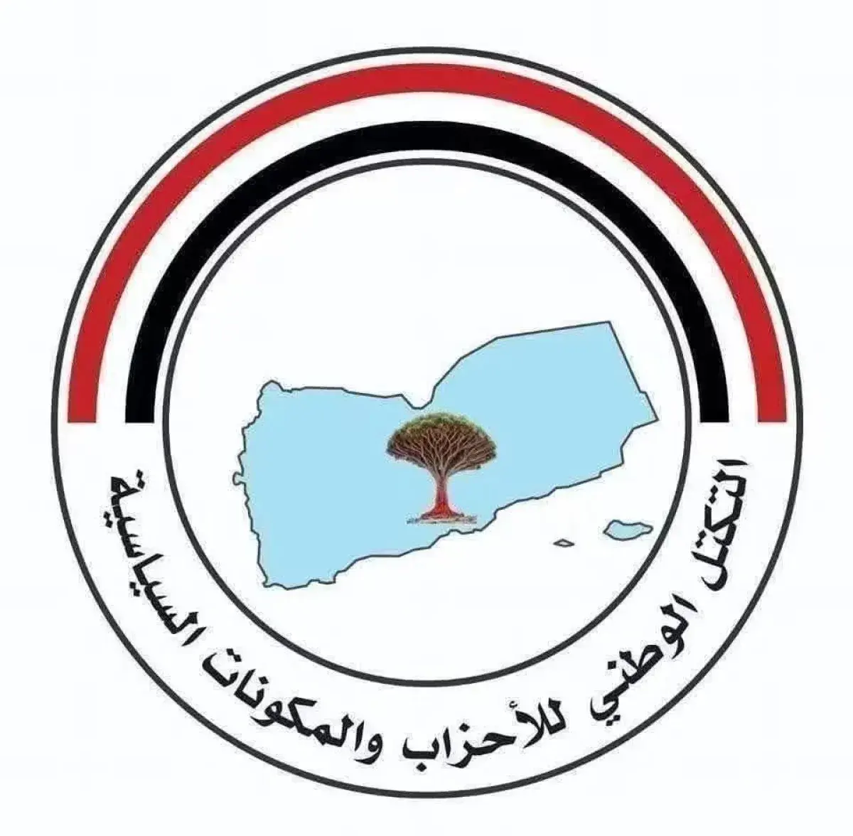التكتل الوطني يشكّل لجنة إعلامية.. معركة استعادة ا...