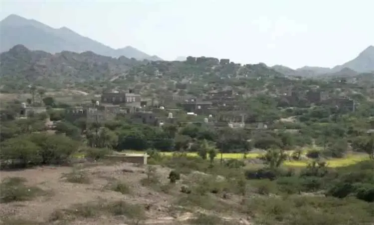 مليشيا الحوثي تقصف خيمة نازح غربي تعز.. مقتل امرأة...