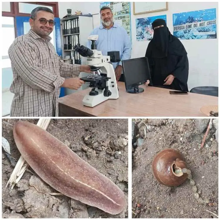 باحثون من جامعة عدن يرصدون نوعًا غازيًا جديدًا من...